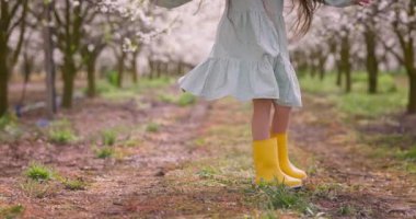 Özgürlük kızı genç güzel kadın meyve bahçesindeki çiçek açan meyve ağaçlarının tadını çıkarıyor. 4K video.