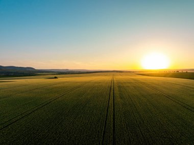 Tarımsal alanda gün batımı, muhteşem hava manzarası