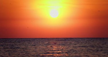Sakin dalgalı su ufkunun üzerinde okyanus gündoğumu, deniz dalgaları ve plajın üzerinde yükselen altın güneş.