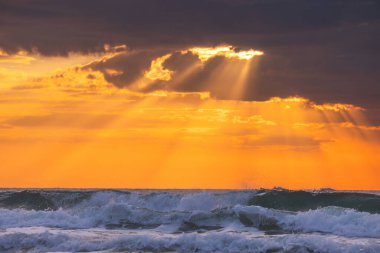 Deniz ufkunun üzerinde güzel bulutlar ve uçan martılar, gökyüzünde özgürlük kuşları olan okyanus gündoğumu manzarası..