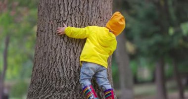 Sonbahar parkında düşen yapraklarla oynayıp ağacın arkasına saklanan mutlu erkek ve kız kardeşler. Mutlu çocukluk.