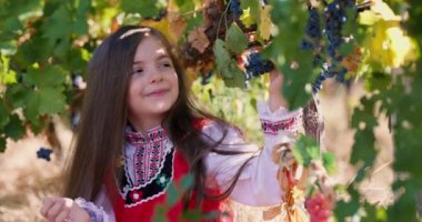 Etnik folklor kostümüyle gülümseyen güzel bir Bulgar kızı, Bulgaristan 'ın kırsal kesimindeki bir üzüm bağından olgun üzümler topluyor.