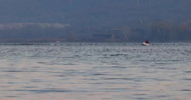 Balıkçı teknesini gölde yüzdürüyor. Kuğu ve ördek sürüsü su üzerinde yüzüyor.