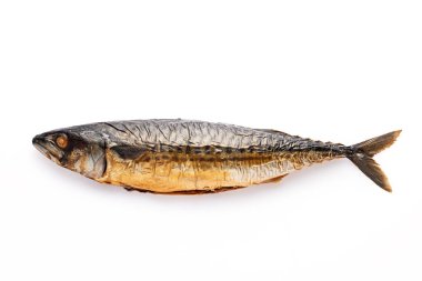 Tütsülenmiş balık, Atlantik uskumrusu, beyaz arka planda izole edilmiş.