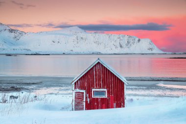 Ramberg Kızıl Kulübesi ve İskandinav Denizi, Lofoten Adaları, Norveç kışı deniz manzarası ve gökyüzünde kuzey ışıkları