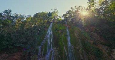 Dominika Cumhuriyeti 'ndeki Samana adasında güzel bir tropikal yağmur ormanı ve El Limon şelalesi. Dominicana 'da turizm için ünlü bir yer..