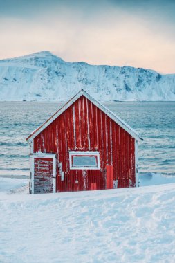 Lofoten kış manzarası. Kuzey kıyılarında yalnız kırmızı bir kulübe. Norveç kutup doğası ve kuzey ışıkları. 