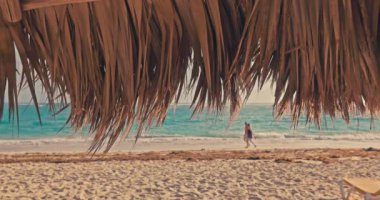 Tropik ada sahil beldesi Karayip Denizi manzaralı. Punta Cana, Dominik Cumhuriyeti