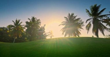 Golf sahası golf sahası, tropikal alanda palmiye ağaçları manzaralı. Rahatla, rahatla ve spor yap.