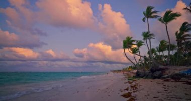 Tropikal manzara, Karayip deniz ve plajı Bavaro, Punta Cana tatil beldesi, Dominik Cumhuriyeti