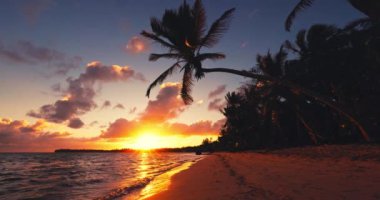 Palmiye ağaçlarının olduğu tropik bir sahil sahili. Güneş, Bavaro, Punta Cana, Dominik Cumhuriyeti üzerinde doğuyor.