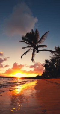 Palmiye ağaçlarının olduğu tropik bir sahil sahili. Güneş, Bavaro, Punta Cana, Dominik Cumhuriyeti üzerinde doğuyor.