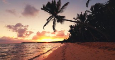 Hindistan cevizi palmiyeleri ve manzaralı gündoğumu bulutları olan tropik sahil kıyıları Karayip denizindeki vahşi cennet egzotik adaları.