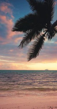 Okyanus sahili gün doğumu dramatik bulutlar ve palmiye ağaçları alev deniz manzarası, Karayip denizi ve ada sahil Dominik Cumhuriyeti manzarası.