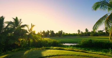 Güneşin doğuşu sırasında golf sahasında palmiye ağaçları ve göl manzarası