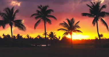 Manzaralı tropikal manzara palmiye ağaçları siluetler ve canlı renkli gökyüzü, göl ve golf sahası