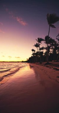 Bereketli palmiye ağaçları siluetleri, turkuaz suları, yumuşak beyaz kumlu punta cana ve Dominik Cumhuriyeti ile tropikal sahilde gün doğumu 