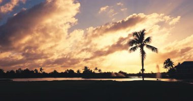 Dominik Cumhuriyeti 'ndeki bir Karayip tatil köyünde göl ve palmiye ağaçlarının bulunduğu golf sahasının manzarası. Egzotik tropikal doğa.