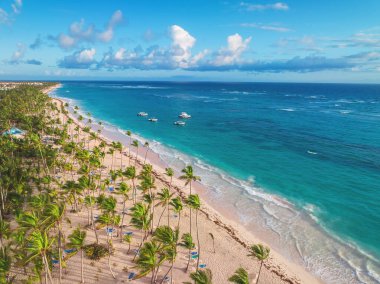 Palm Trees ve Blue Ocean Waters, Dominik Cumhuriyeti ile Tropikal Karayip Sahili 'nin Havadan Görüntüsü