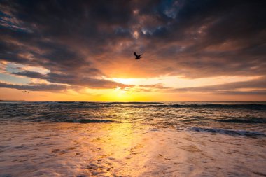 Uçan özgürlük martılarıyla deniz ve sahil manzarasının üzerinde güzel bir bulut manzarası.