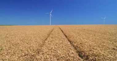 Altın buğday tarlası ve dönen elektrik gücü rüzgar türbini kırsal kesimde yaz günü
