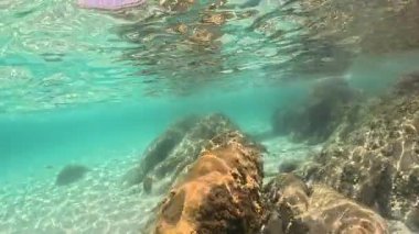 Su altı okyanus manzarası kayalar ve mercan resifleri deniz tabanı ve berrak kristal mavi su ve küçük balıklar, deniz manzarası Yunanistan