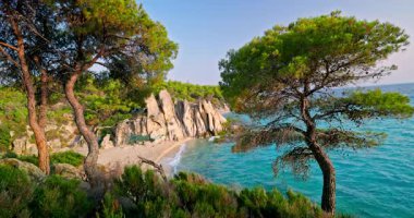 Paradise Kavourotripes Plajı, Chalkidiki, Yunanistan. Güzel sahil manzarası, turkuaz suları olan vahşi bir ada.
