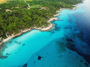 Kavourotrypes plajı Sithonia cenneti Halkidiki 'nin vahşi körfezi, hava manzarası