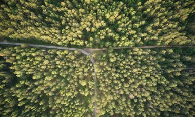 Gün batımında ormanda yol dönüşü. Arka planda hava aracı görüntüsü.