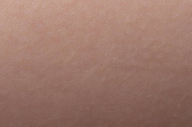 Kid skin surface with light hair macro close up view clipart