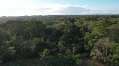 Orta Amerika 'da tropikal orman arka plan insansız hava aracı görüntüsü