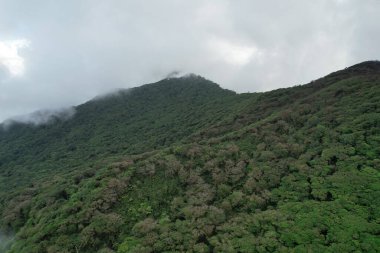 Volkan Mombacho yeşil peyzaj arka plan hava aracı görüntüsü