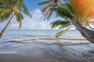 Gündoğumu saatinde Palm Frame arka planına sahip Karayip tatil köyü plajı