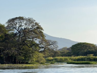 Günbatımında göl veya gölet üzerinde tropikal doğa