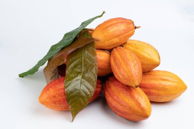 Taze renkli kakao hasat portakal meyveleri beyaz stüdyo arka planında izole edilmiş.