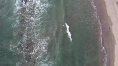 Egzotik tropikal arka plan hava aracı manzaralı plaj