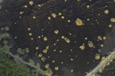 Yukarıdaki kara lav zemininde yeşil ağaçlar var.