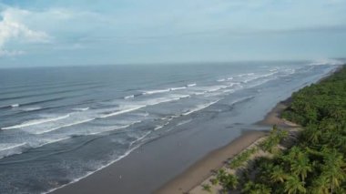 Tropik plaj temalı bir tatil. Kıyı şeridi üzerindeki yeşil palmiye ağaçlarının arasında bir villanın çatısı.