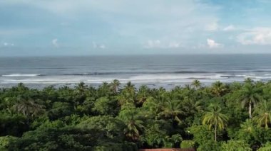 Kumsal hava aracı manzarasının yanındaki yeşil palmiye ağaçları arasında kahverengi kiremit çatı villaları.