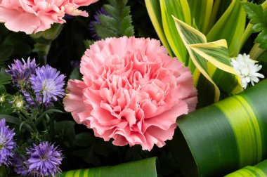 Pembe çiçek yeşil buket arka planda yakın görünüm