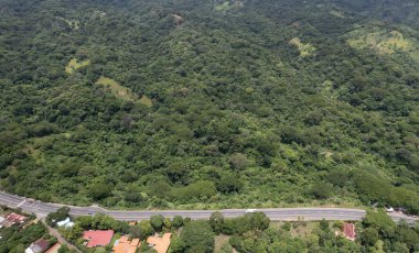 Asfalt yolda yeşil orman arka planda hava aracı görünümü