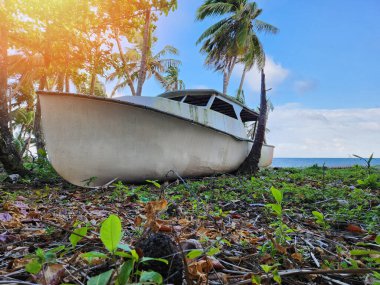 Hasarlı gemi mavi deniz ve gökyüzü arka planında sahilde sıkışıp kaldı