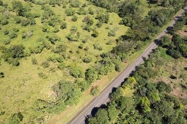 Yeşil parktaki asfalt yolda güneşli bir günde hava aracı görüntüsü