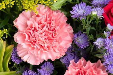 Yeşil yapraklı pembe çiçek buketi. Yakın görüş.