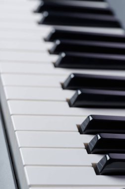 Clean empty piano black and white keys macro close up view clipart