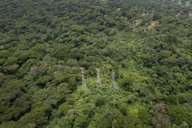 Orman çevresindeki elektrik hattı hava aracı görünümü