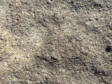 Deniz gözenekli kaya dokusu soyut arkaplan görüntüsü