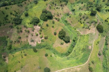 Güneşli bir günde tepedeki temiz yeşil tepe tarlaları.
