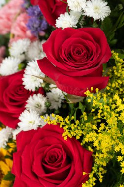 Kırmızı güller buket makro. Sarı ve beyaz bitkilerle yakın görüş.