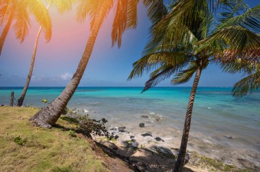 Karayipler 'in mavi deniz arka planı. Adadaki tropik kıyı şeridi